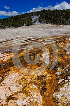 Algae-bacterial mats. Hot thermal spring, hot pool in the Yellowstone NP. USA