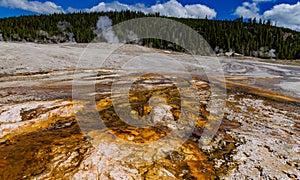 Algae-bacterial mats. Hot thermal spring, hot pool in the Yellowstone NP. USA