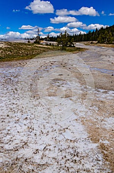 Algae-bacterial mats. Hot thermal spring, hot pool in the Yellowstone NP. Wyoming, US