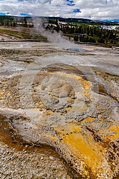 Algae-bacterial mats. Hot thermal spring, hot pool in the Yellowstone NP. Wyoming, US