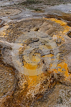 Algae-bacterial mats. Hot thermal spring, hot pool in the Yellowstone NP. Wyoming, US