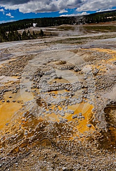 Algae-bacterial mats. Hot thermal spring, hot pool in the Yellowstone NP. Wyoming, US