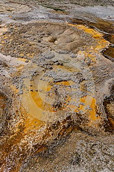 Algae-bacterial mats. Hot thermal spring, hot pool in the Yellowstone NP. Wyoming, US