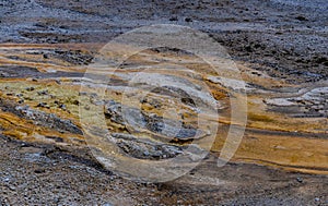 Algae-bacterial mats. Hot thermal spring, hot pool in the Yellowstone NP. Wyoming, US