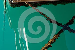 Algae chain under the turquiose sea water