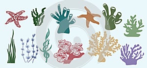 Algae, corals, Kelp, laminaria, Macrocystis, Brown alga, rockweed, Fucus, Posidonia. Vector illustration. Set of paper marine