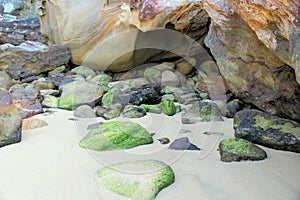 Algae Covered Rocks on West Head Beach in Ku-ring-gai Chase National Park