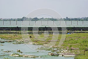Algae Infested Green Water in a Stagnant Dam