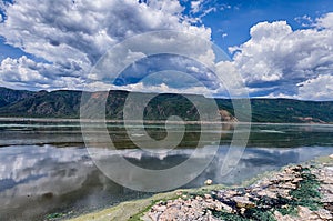 Algae on Lake Bogoria