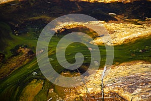 Algae in a river in Rio Tinto, Huelva