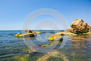 Algae on the sea stones. Green algae covers the sea surface
