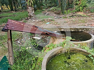 Algae sludge floating on the overflow concrete well ring surface