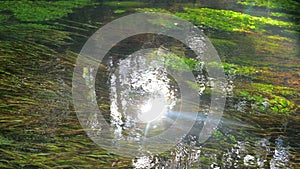 Algae and stones at the bottom of a clear, clear river, Strong current and ripples over the water, Reflection of sunlight, glare i