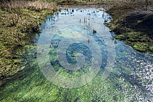 Algae and waterweed under the flowing shallow stream - 1