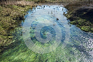 Algae and waterweed under the flowing shallow stream - 1 photo