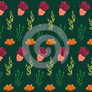 algaes sealife pattern