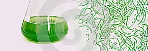 Algal research, energy and healthcare treatment biotechnology, p