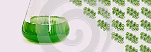 Algal research, energy and healthcare treatment biotechnology, photobioreactor in medical science laboratory, algae fuel biofuel