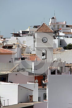 Algarrobo analusia spain