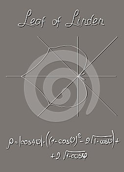 Algebraic model of the linden leaf, constructed in the polar coordinate system and the trigonometric formula of this graph.