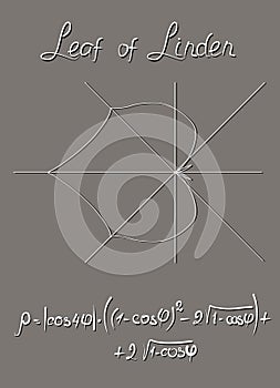 Algebraic model of the linden leaf, constructed in the polar coordinate system and the trigonometric formula of this graph.