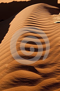 Algeria Sahara dune landscape light game photo