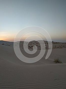The Algerian desert