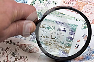 Algerian dinar in a magnifying glass