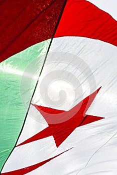 Algerian flag