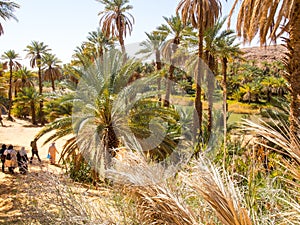 Algerian Sahara desert Thaghit Bechar