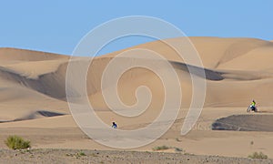 Algodones Sand Dunes