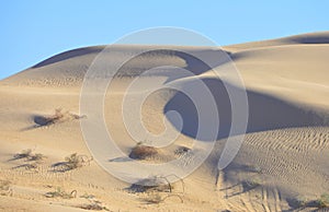 Algodones Sand Dunes