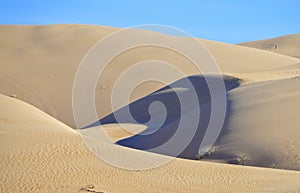 Algodones Sand Dunes