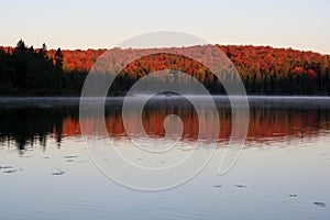 Algonquin Dawn