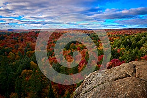 Algonquin fall colours Provincial Park Ontario