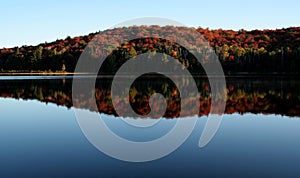 Algonquin Fall Shoreline