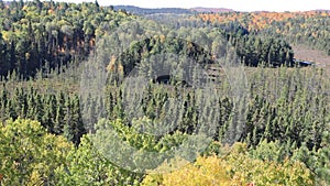 Algonquin forest overlook in fall