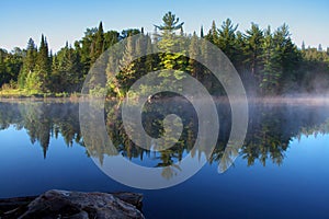 Algonquin park photo