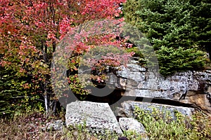 Algonquin Park Muskoka Ontario