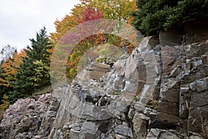 Algonquin Park Muskoka Ontario