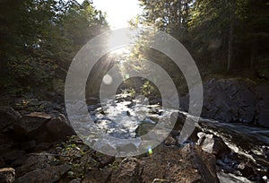 Algonquin Park Muskoka Ontario