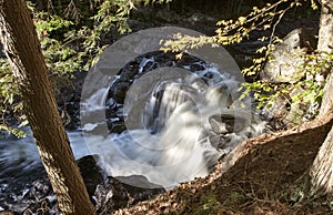 Algonquin Park Muskoka Ontario