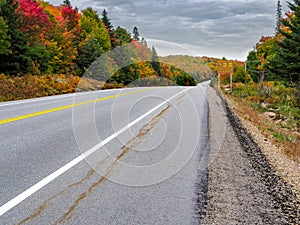 Algonquin Provincial Park cache lake Hyway 60 in Autumn Fall Colors