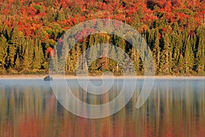 Algonquin Reflections photo