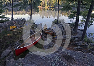 Algonquin Shore and Canoes