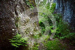 Alguy tremolites. Isolated rock massifs in a mixed forest