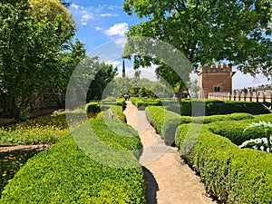 Alhambra Alcazaba Castle Towers Ruins Granada Andalusia Spain