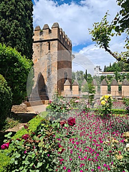 Alhambra Alcazaba Castle Towers Ruins Granada Andalusia Spain