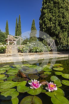 Alhambra, Generalife and Albayzin (Generalife y AlbaicÃ­n de Granada), UNESCO site, Granada, Andalusia, Spain