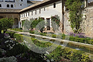 Alhambra, Generalife Palace, Granada, Spain photo